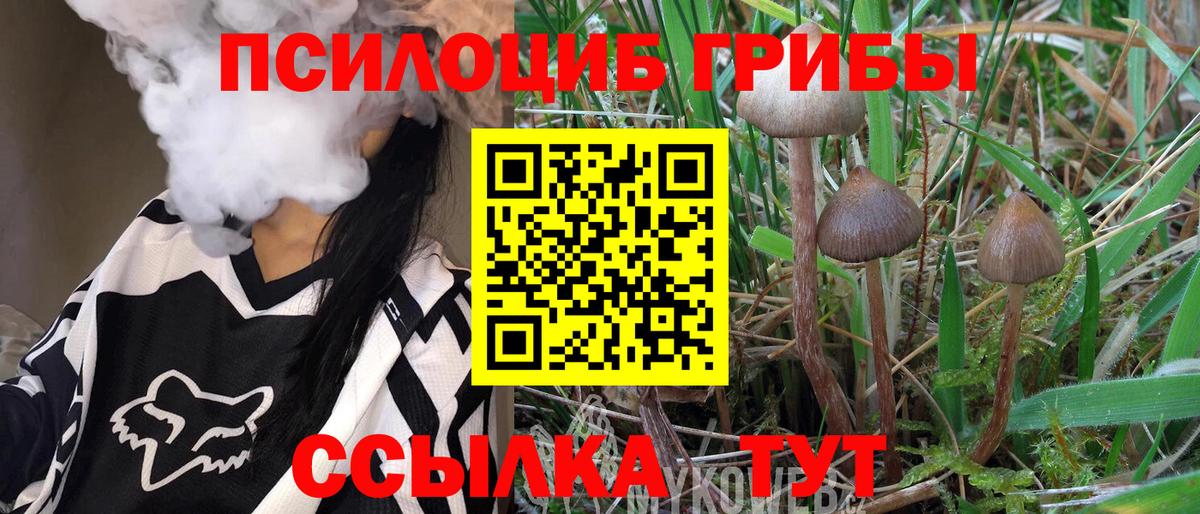купить закладку  Вход с VPN  Белгород  Псилоцибиновые грибы MAGIC MUSHROOMS 