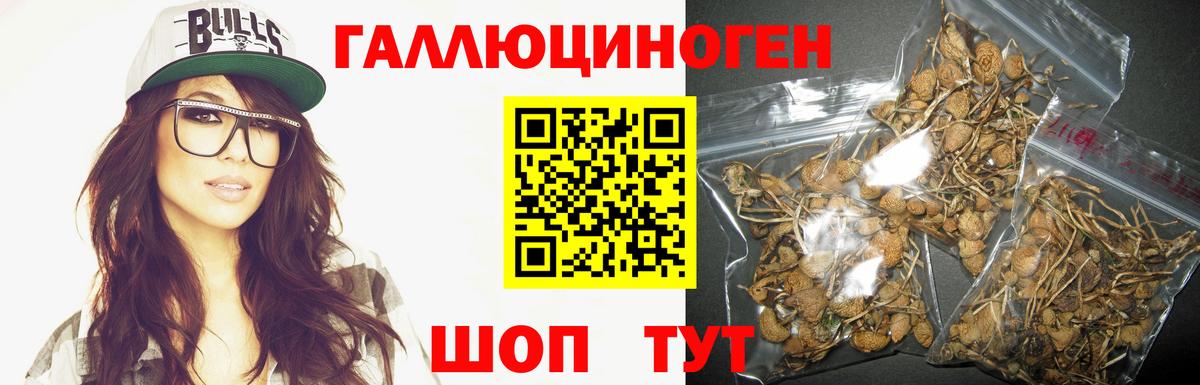 Галлюциногенные грибы GOLDEN TEACHER Белгород